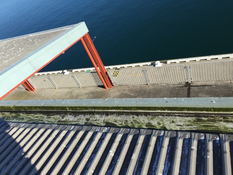 Leaf Guard Installation